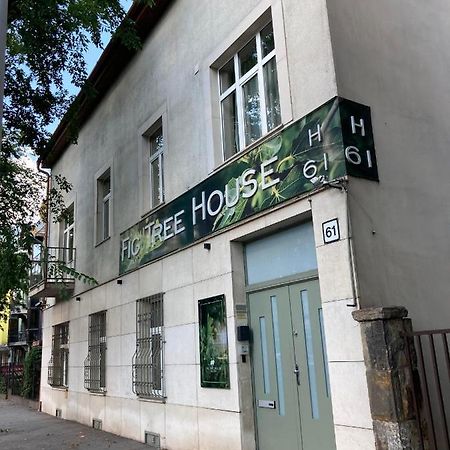 ブダペストFig Tree Houseアパートメント エクステリア 写真