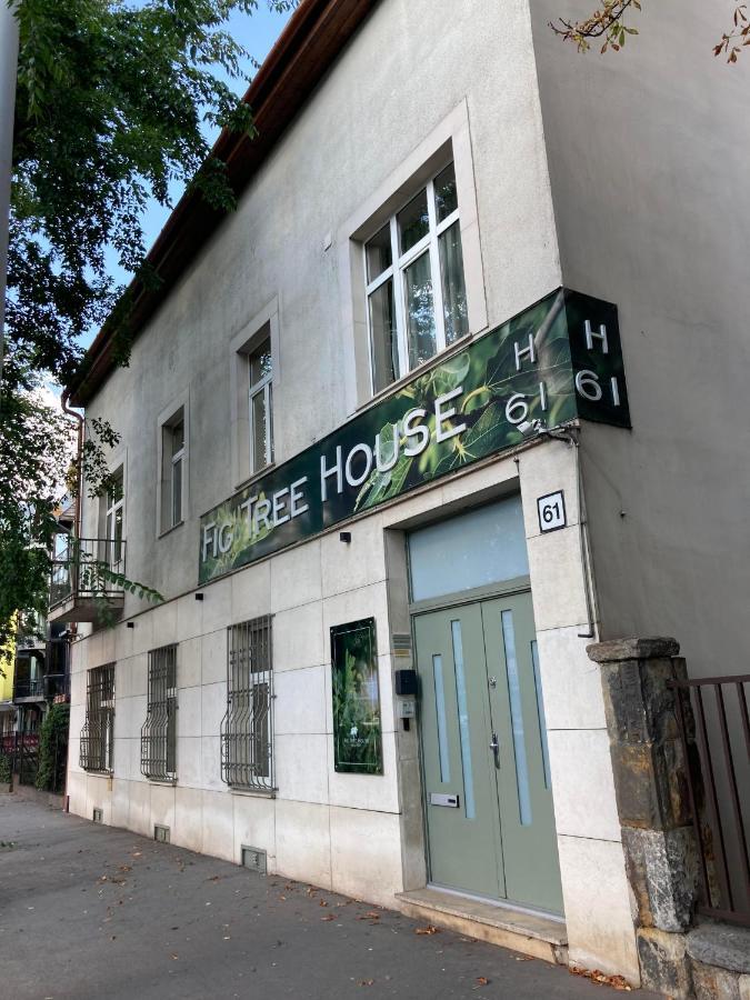 ブダペストFig Tree Houseアパートメント エクステリア 写真